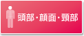 頭部・顔面・頸部